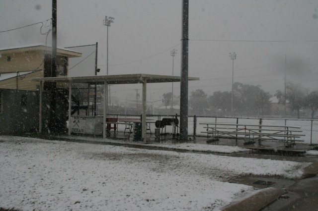 2008 Snow2.jpg